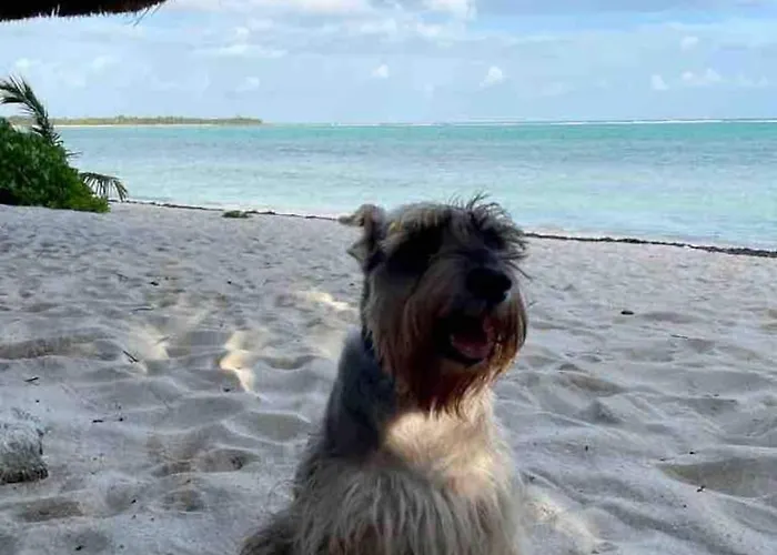Soliman Bay Beachfront Pousada
